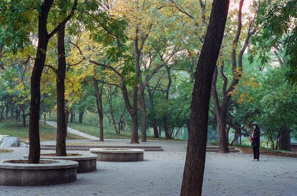 How Can UK Health Professionals Revolutionize Patient Care?